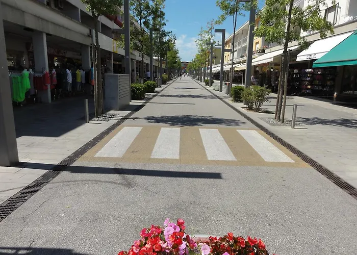 Columbus - ביביונה